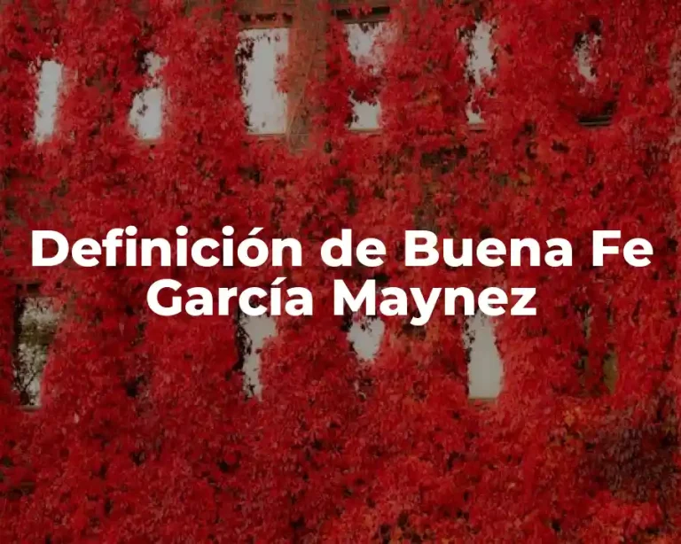 Definición de Buena Fe García Maynez