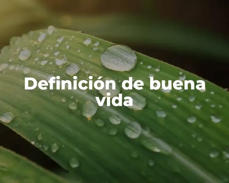 Definición de buena vida