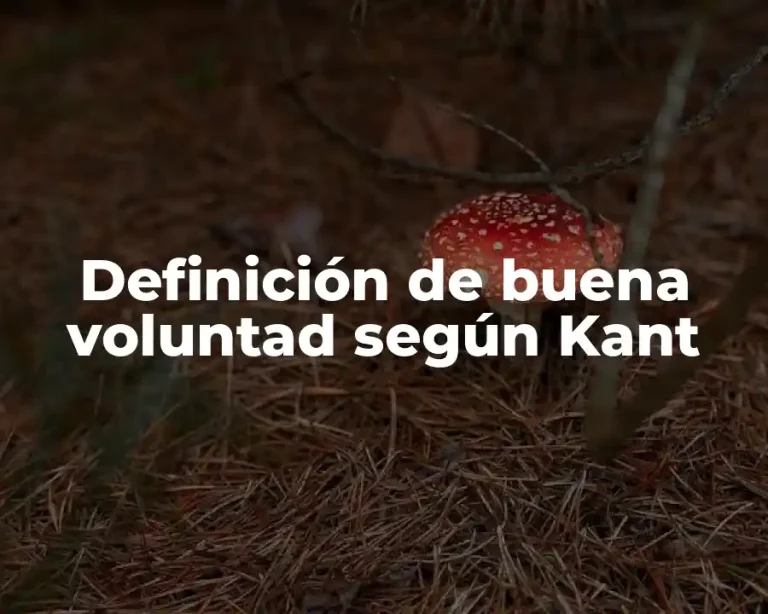 Definición de buena voluntad según Kant