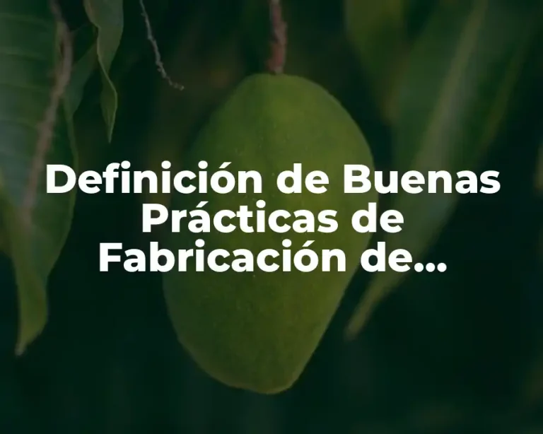Definición de Buenas Prácticas de Fabricación de Medicamentos