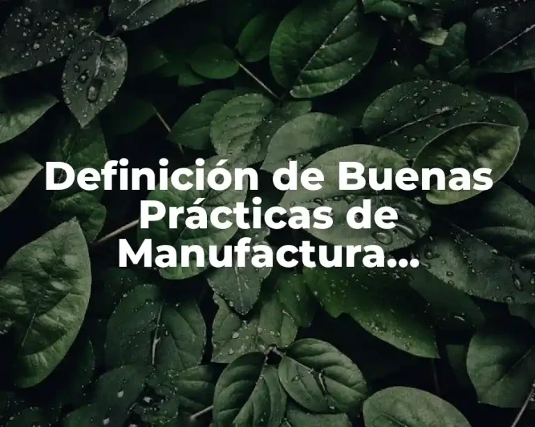Definición de Buenas Prácticas de Manufactura Farmacéutica