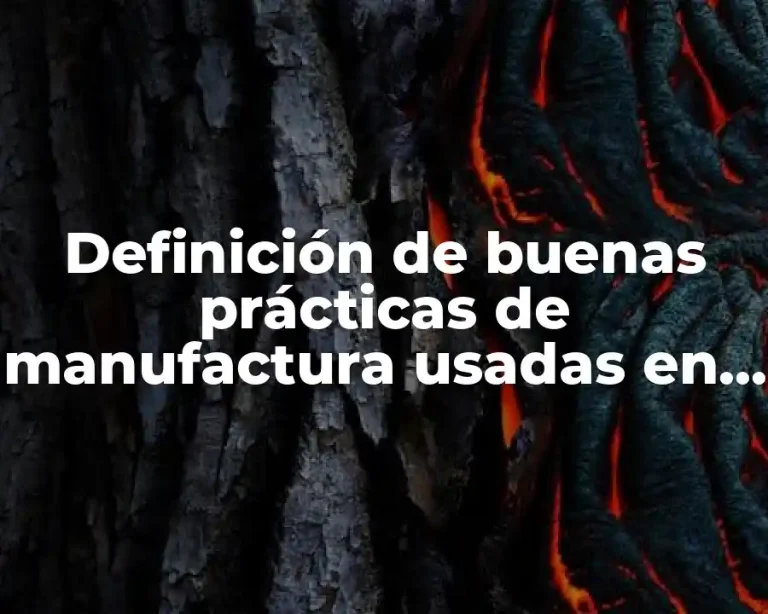 Definición de buenas prácticas de manufactura usadas en México