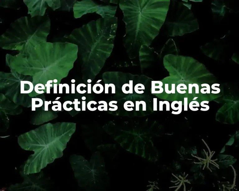 Definición de Buenas Prácticas en Inglés