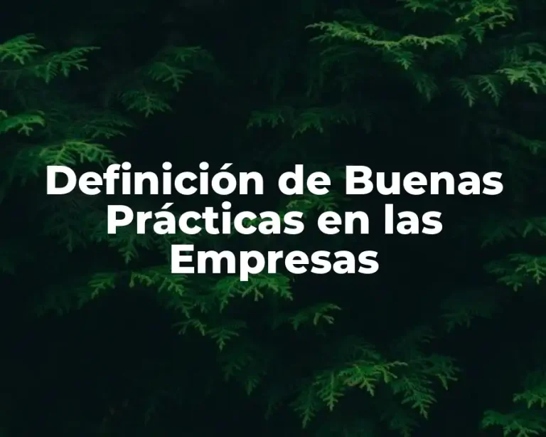 Definición de Buenas Prácticas en las Empresas