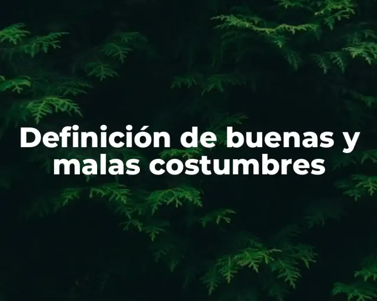 Definición de buenas y malas costumbres