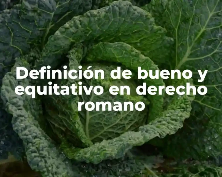 Definición de bueno y equitativo en derecho romano