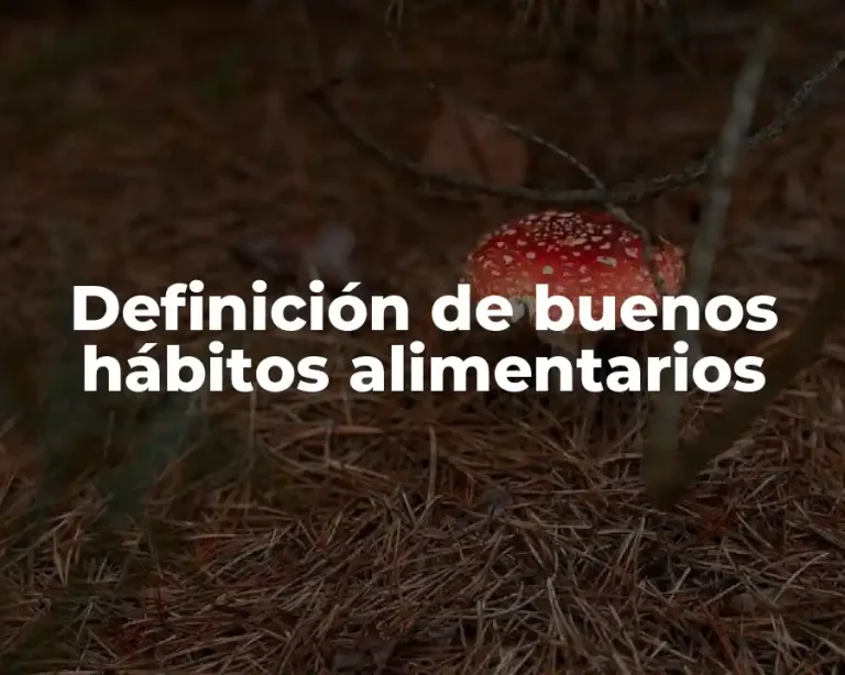 Definición de buenos hábitos alimentarios