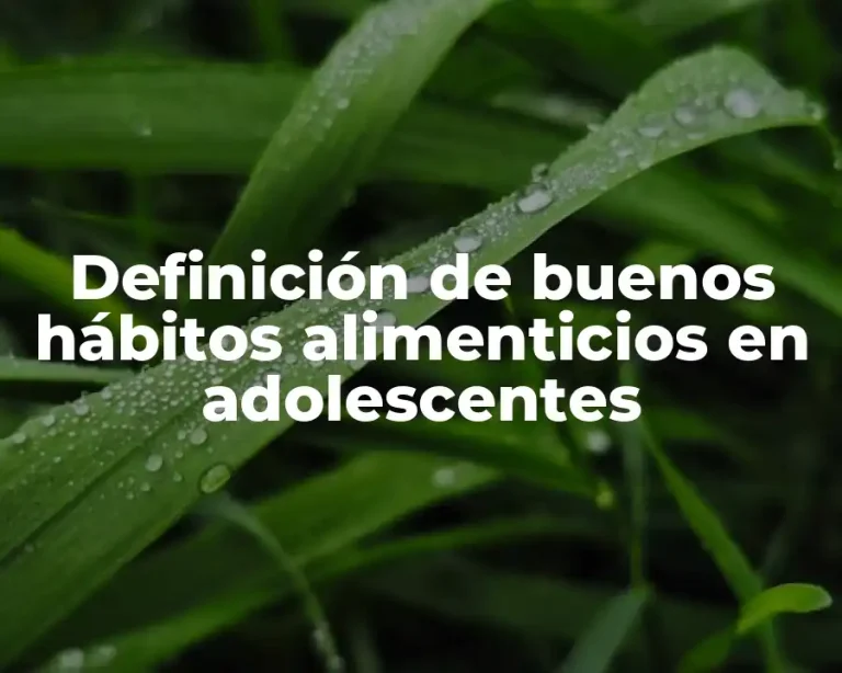 Definición de buenos hábitos alimenticios en adolescentes