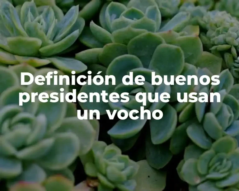 Definición de buenos presidentes que usan un vocho