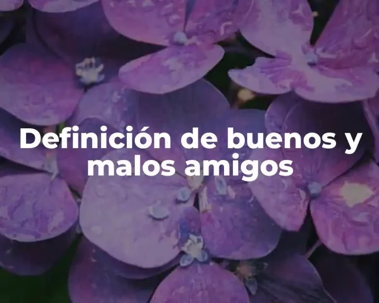 Definición de buenos y malos amigos