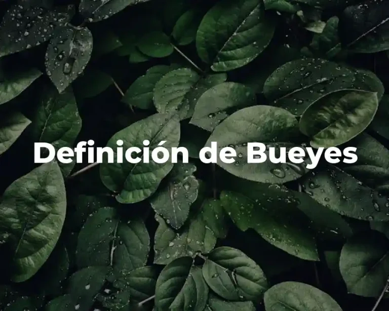 Definición de Bueyes