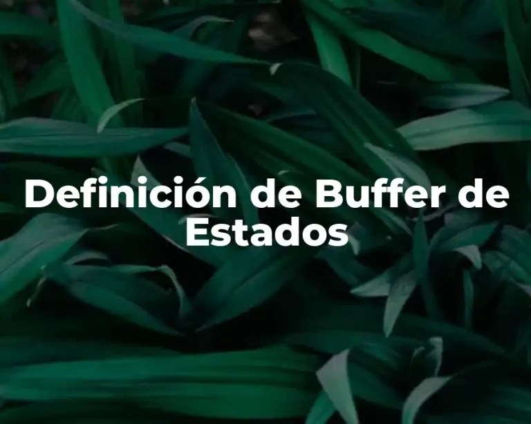 Definición de Buffer de Estados