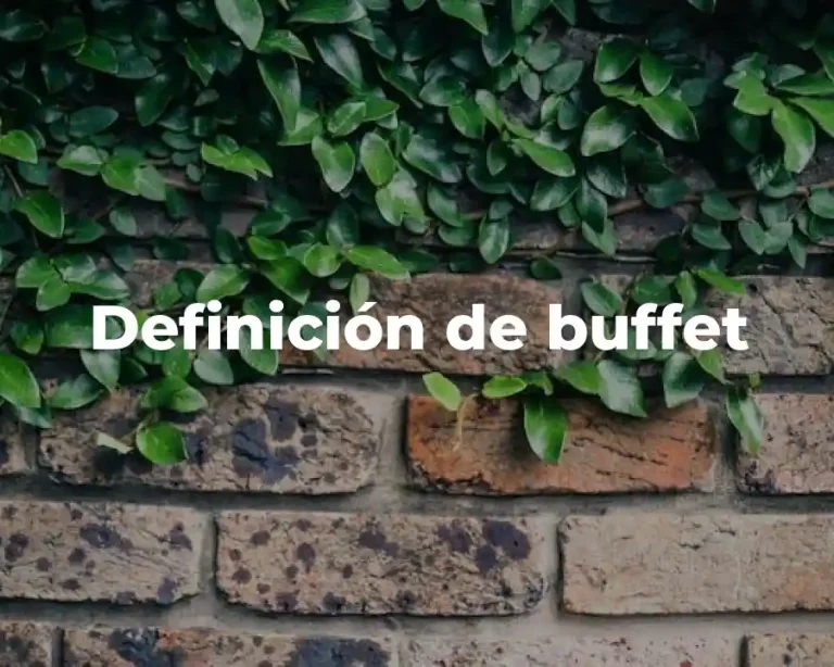 Definición de buffet