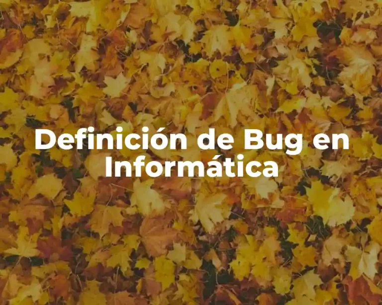 Definición de Bug en Informática