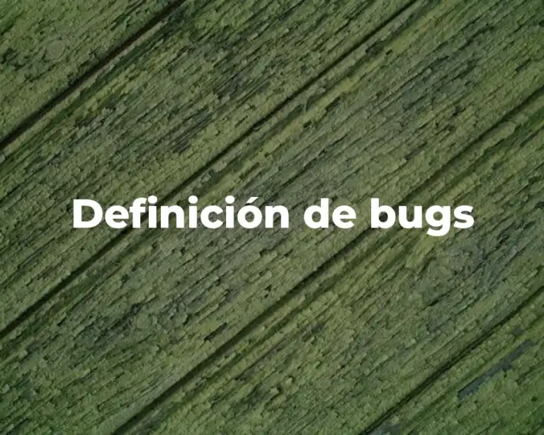 Definición de bugs