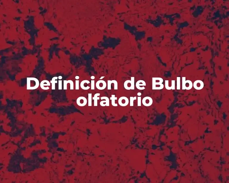 Definición de Bulbo olfatorio