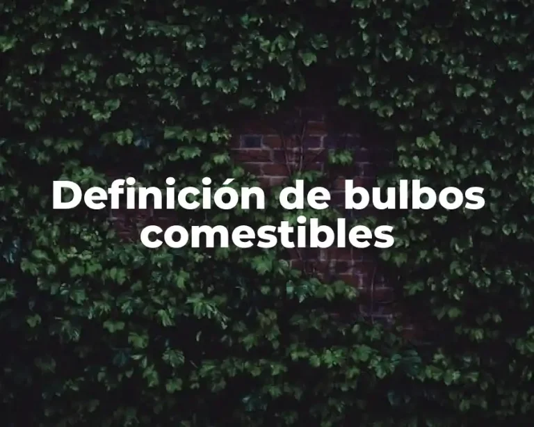 Definición de bulbos comestibles