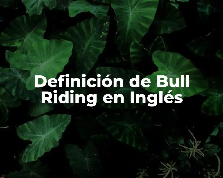 Definición de Bull Riding en Inglés