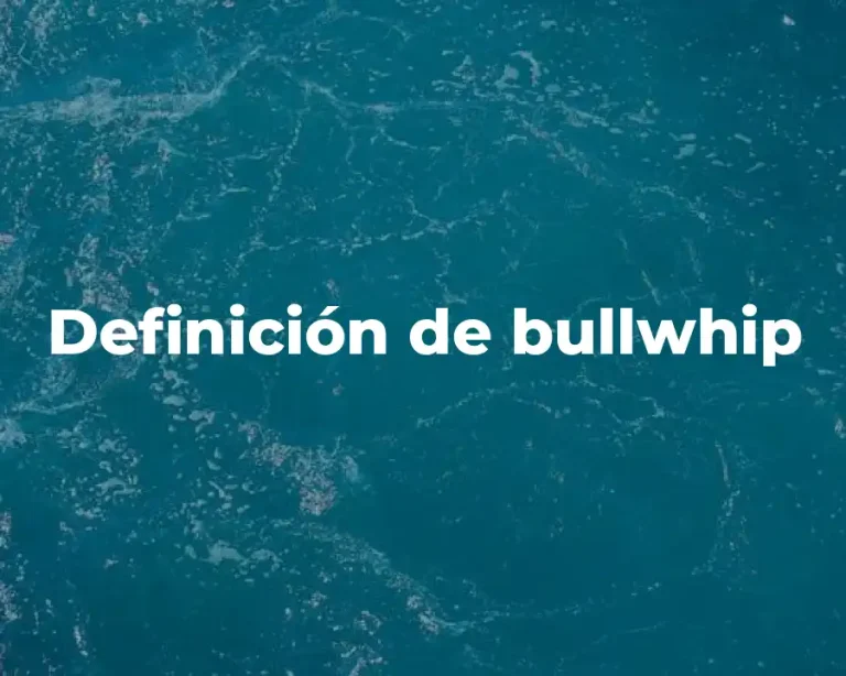 Definición de bullwhip