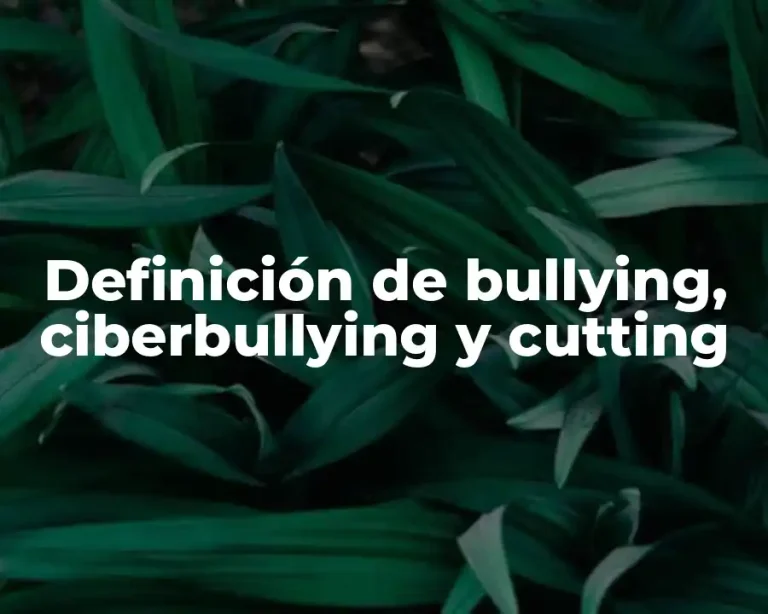 Definición de bullying, ciberbullying y cutting