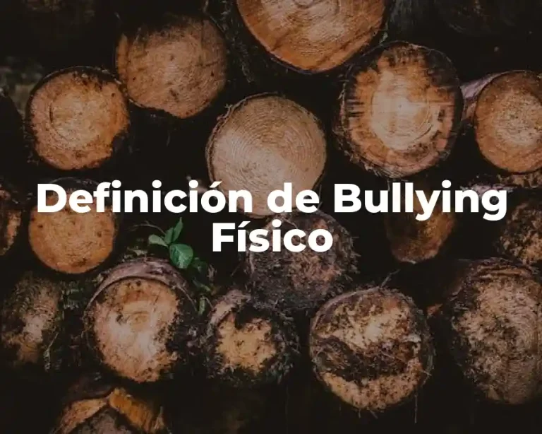 Definición de Bullying Físico