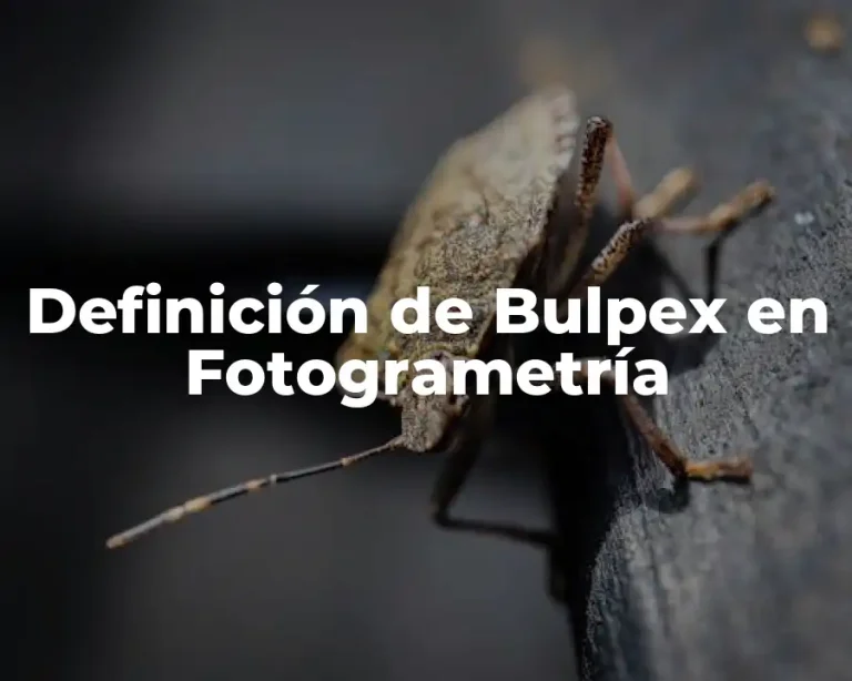 Definición de Bulpex en Fotogrametría