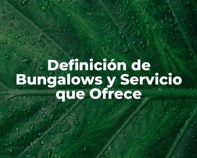 Definición de Bungalows y Servicio que Ofrece