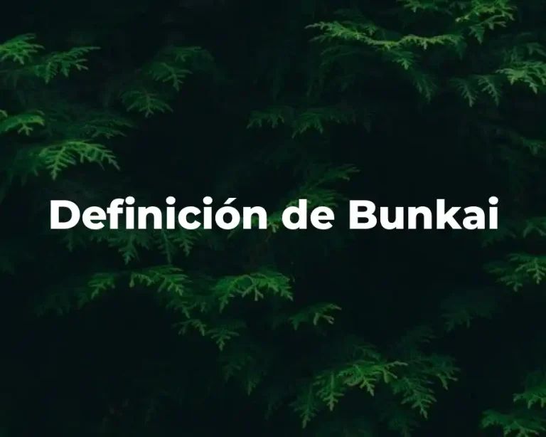 Definición de Bunkai