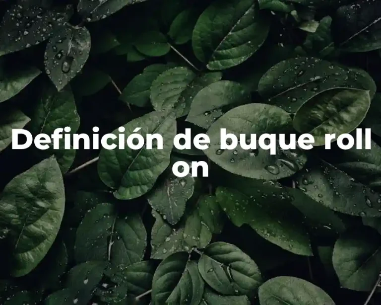 Definición de buque roll on