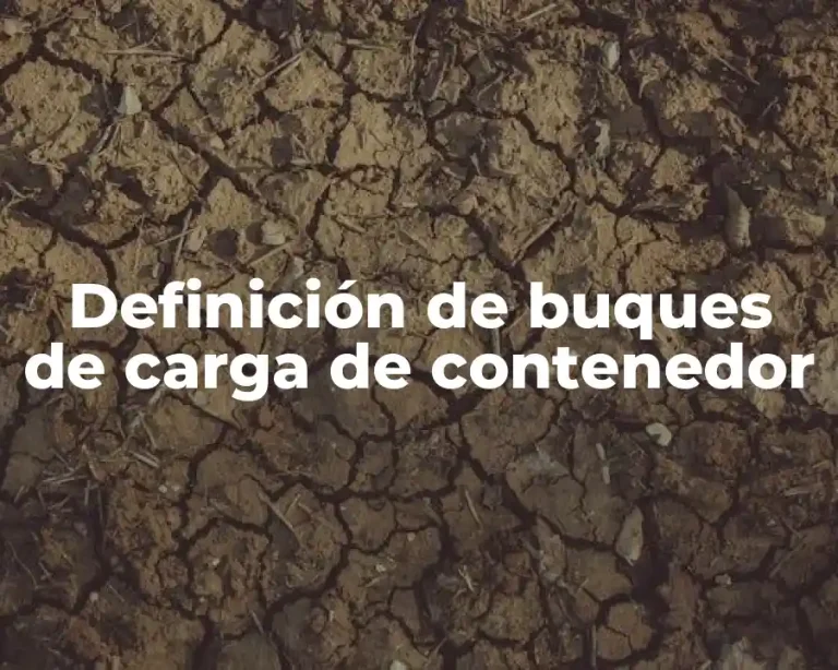 Definición de buques de carga de contenedor