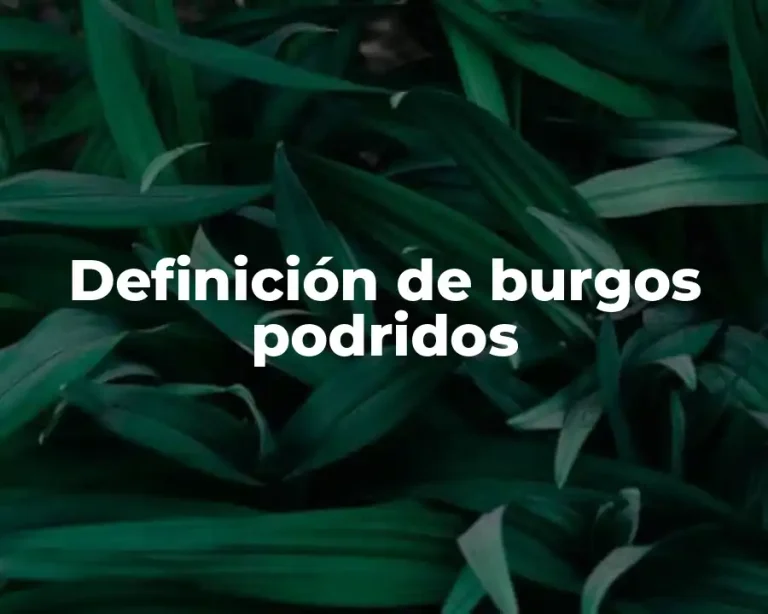 Definición de burgos podridos