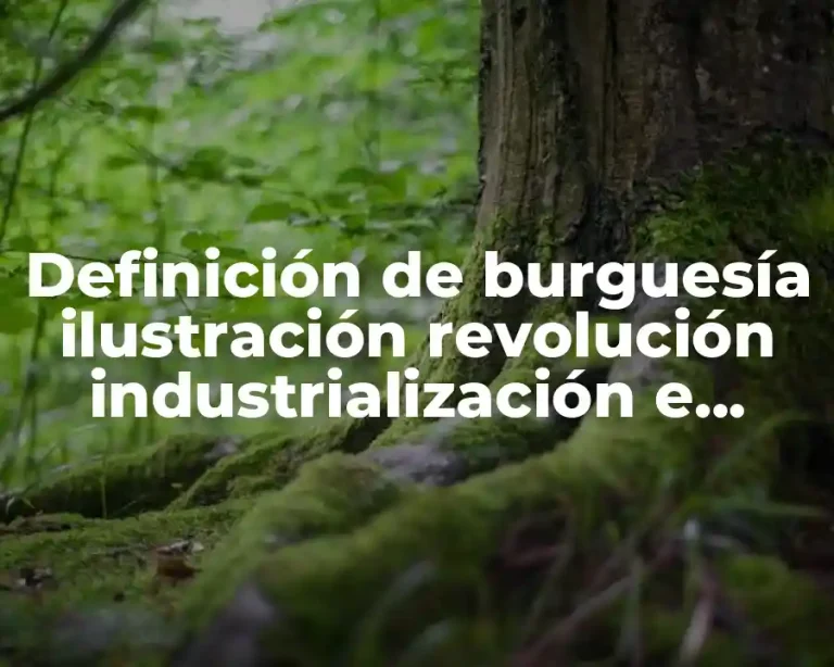 Definición de burguesía ilustración revolución industrialización e imperialismo