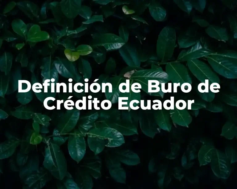 Definición de Buro de Crédito Ecuador