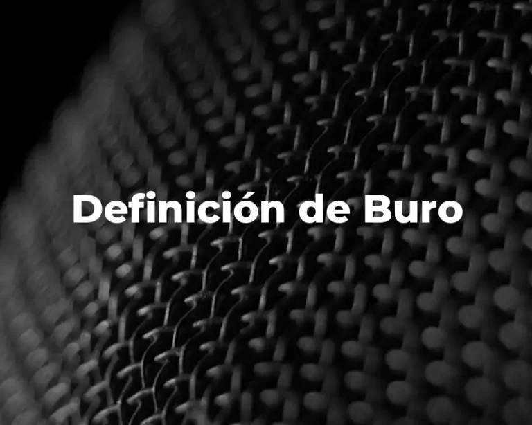 Definición de Buro