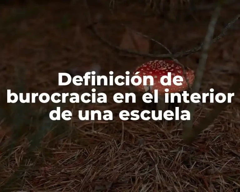 Definición de burocracia en el interior de una escuela