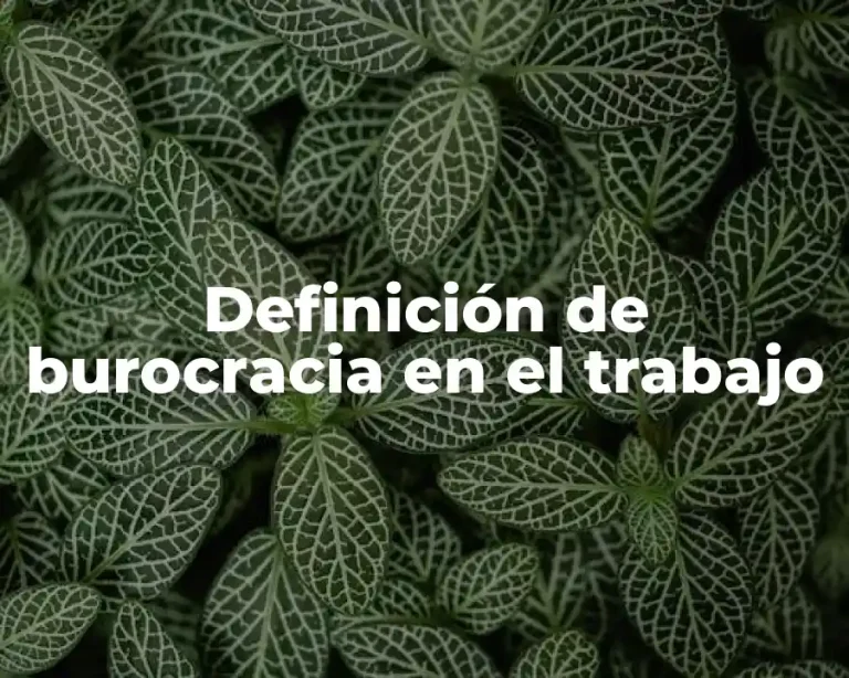 Definición de burocracia en el trabajo