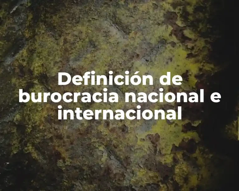 Definición de burocracia nacional e internacional
