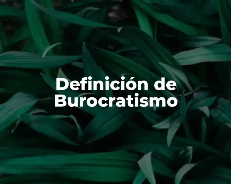 Definición de Burocratismo