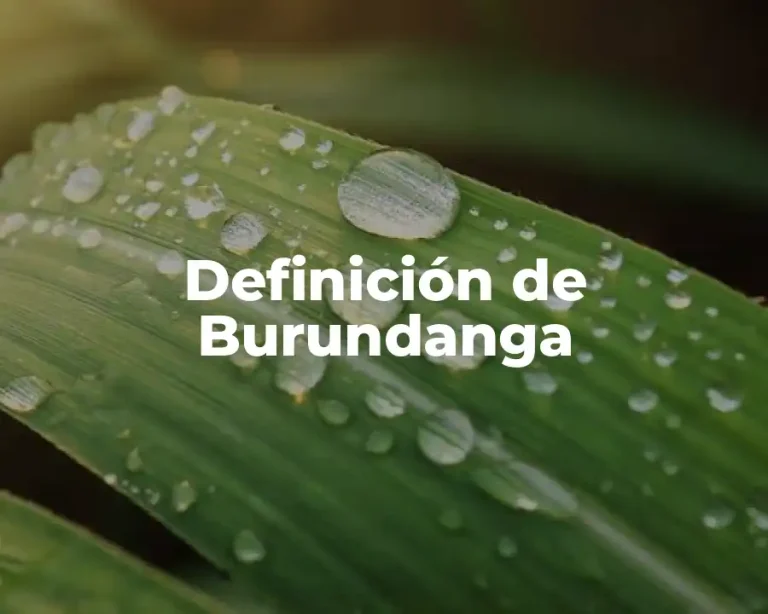 Definición de Burundanga