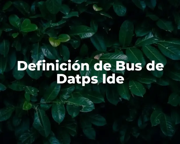 Definición de Bus de Datps Ide
