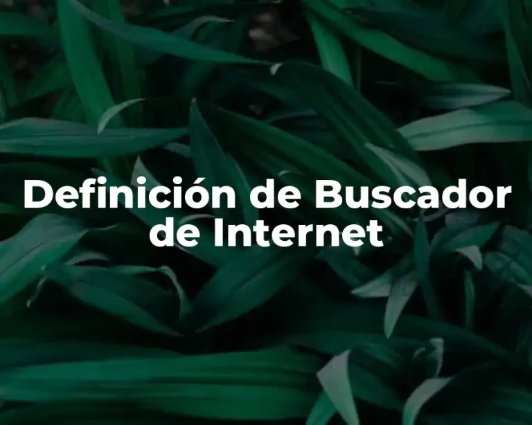 Definición de Buscador de Internet