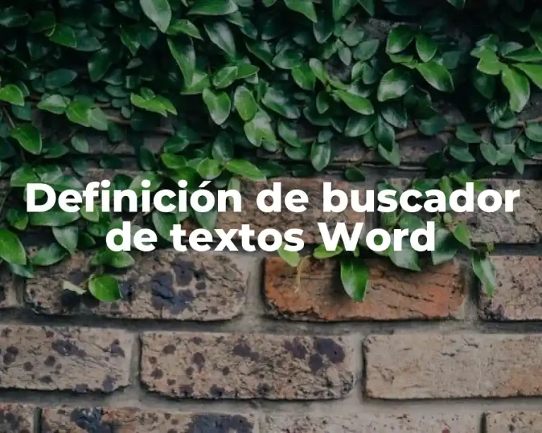 Definición de buscador de textos Word