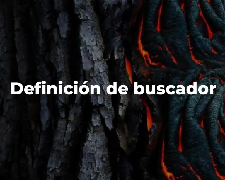 Definición de buscador