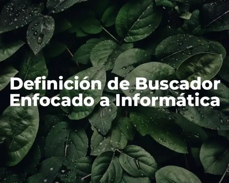 Definición de Buscador Enfocado a Informática