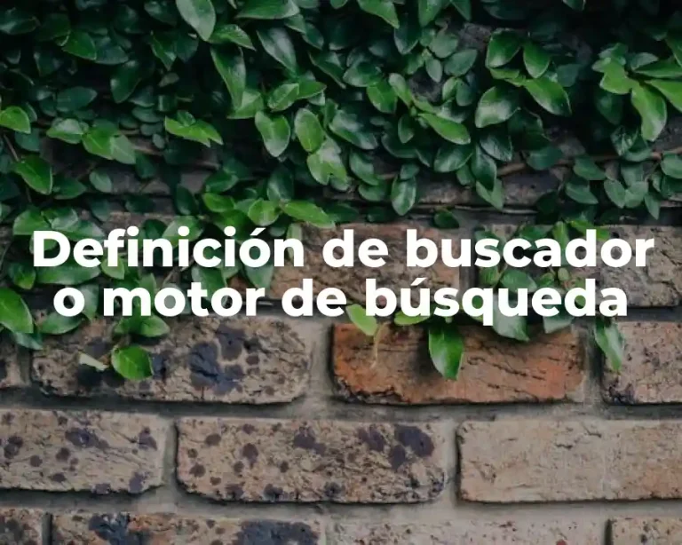 Definición de buscador o motor de búsqueda