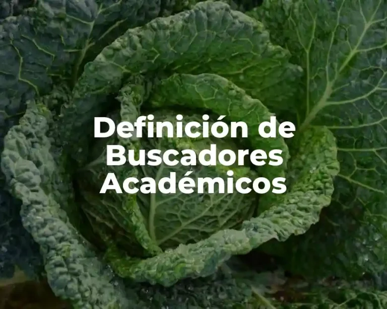 Definición de Buscadores Académicos