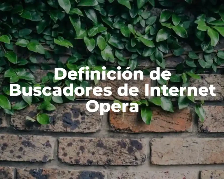 Definición de Buscadores de Internet Opera