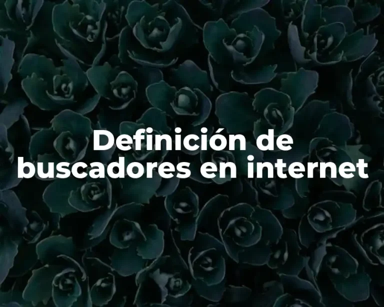 Definición de buscadores en internet