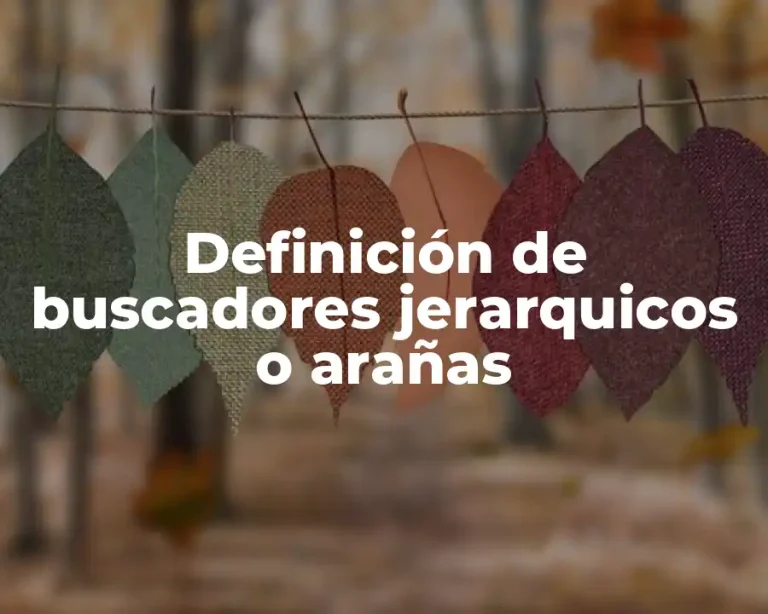 Definición de buscadores jerarquicos o arañas