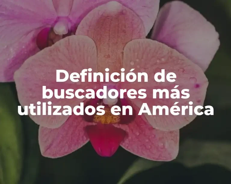 Definición de buscadores más utilizados en América